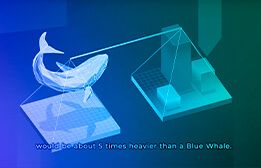 Comarch Factoring animation - refreshed